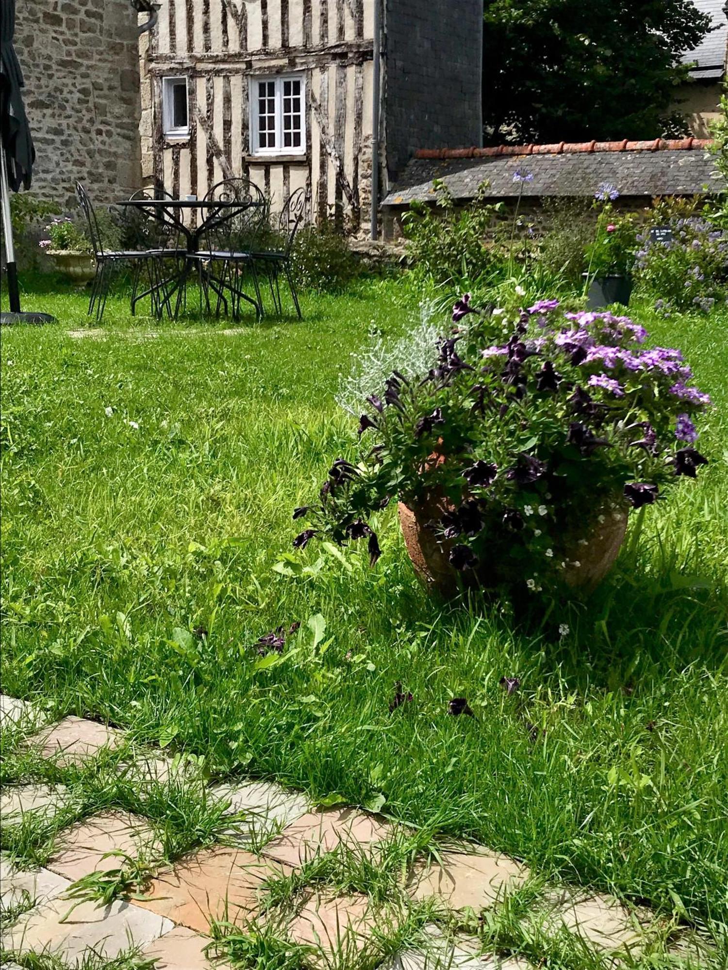 Perlepampille Dinan Quarto foto