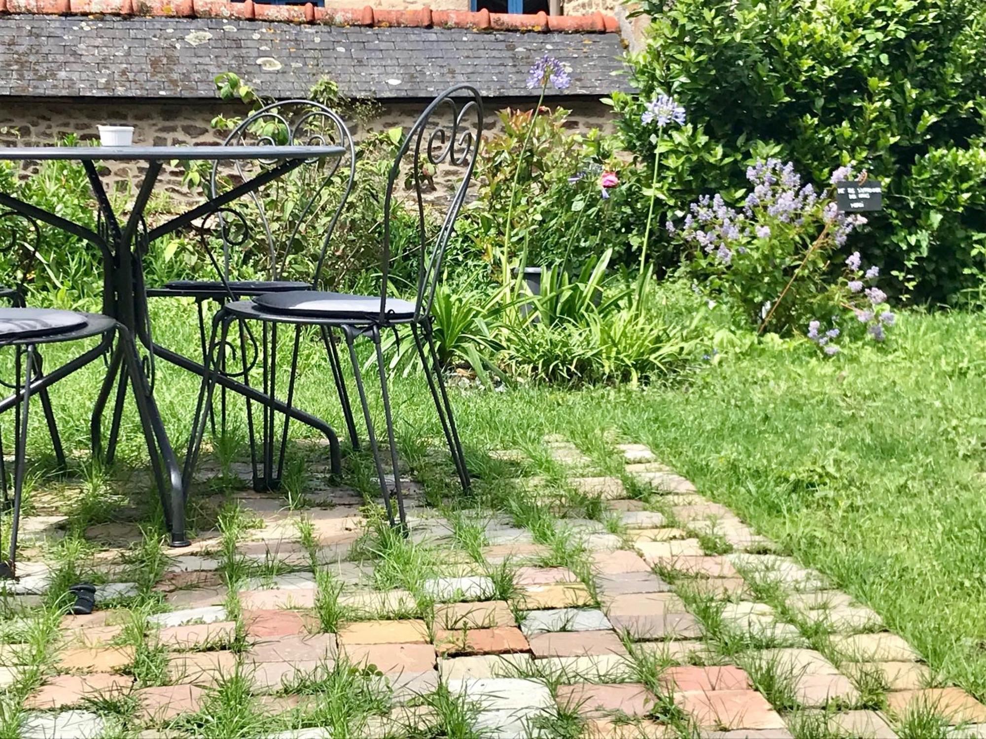 Perlepampille Dinan Quarto foto